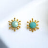 heliaearrinses